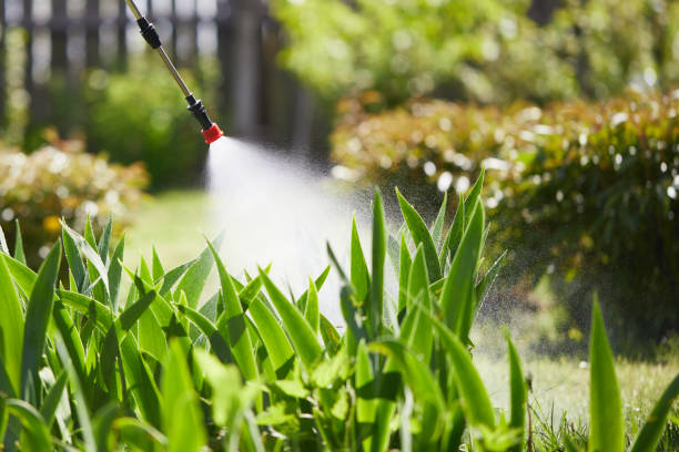 24/7 Emergency Mosquito Control experts in Glide, OR